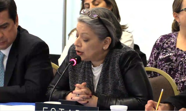 Paulina Riveros, Vice Fiscal General de la Nación, en su intervención ante la CIDH