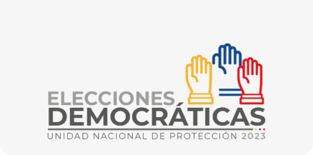 Logo Eleccines Democraticas Gris