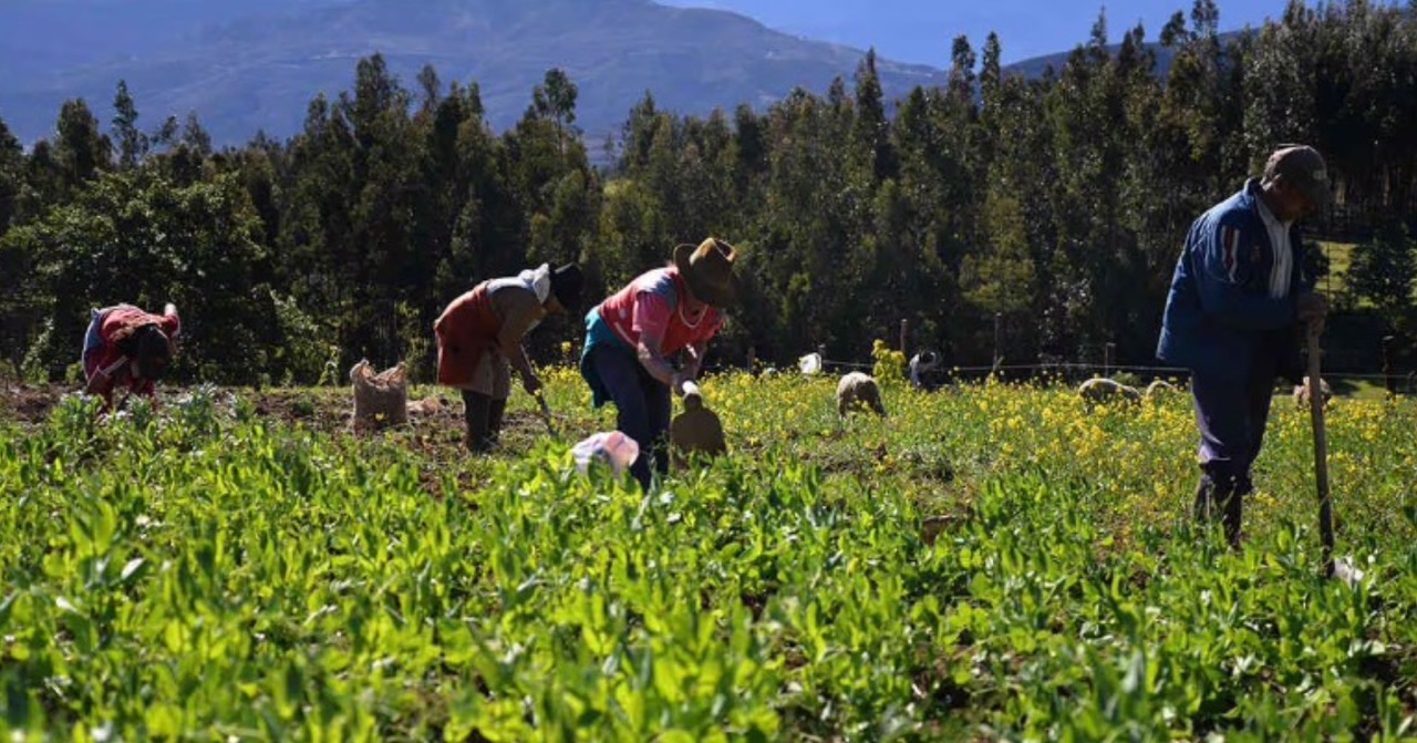 préstamo por más de 100 millones de dólares