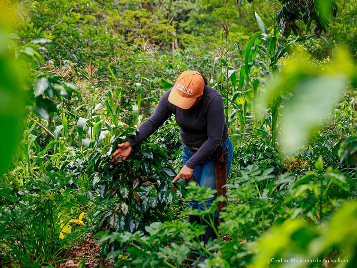 Persona en el campo