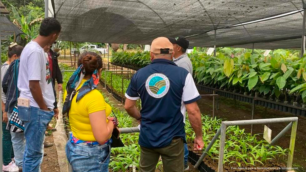 Firmantes de paz participarán en 20 actividades de la COP16
