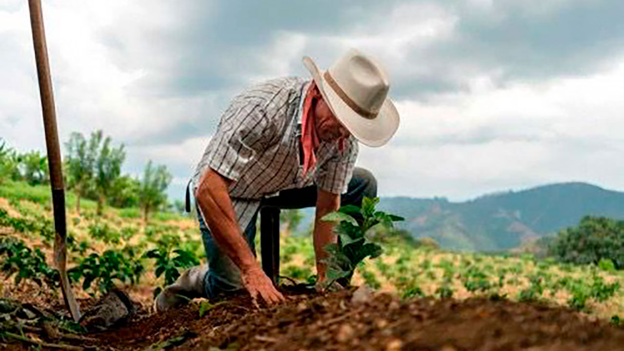Campesino trabajando la tierra