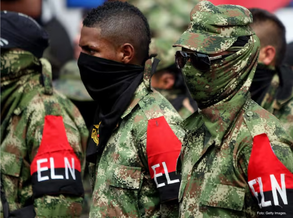 Boletín 786